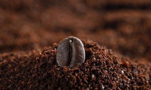 close-up-coffee-bean_1112-432