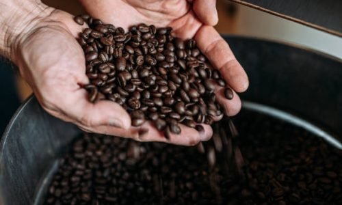coffee-beans-in-the-hand-of-a-wo